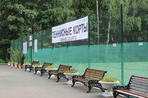 В сокольническом парке летом жизнь кипит